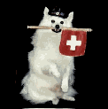 chien suisse