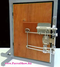 Cockatoo picks locks