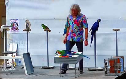 Mark Steiger, spectacle de perroquets